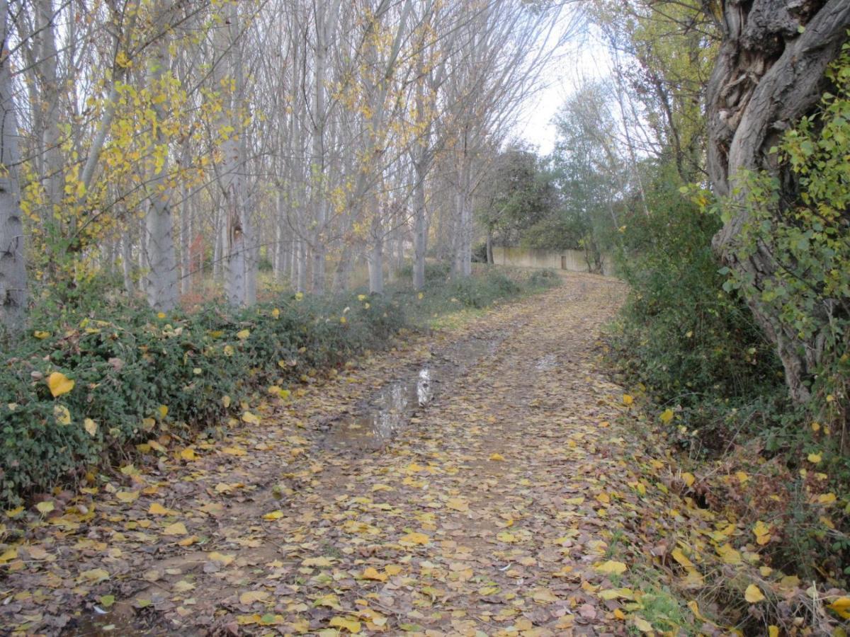Boleta A 5 Minutos De Leon, Casa Con Jardin Villa San Andres del Rabanedo Bagian luar foto