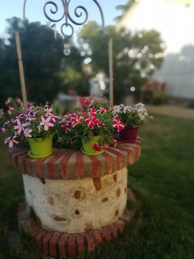 Boleta A 5 Minutos De Leon, Casa Con Jardin Villa San Andres del Rabanedo Bagian luar foto